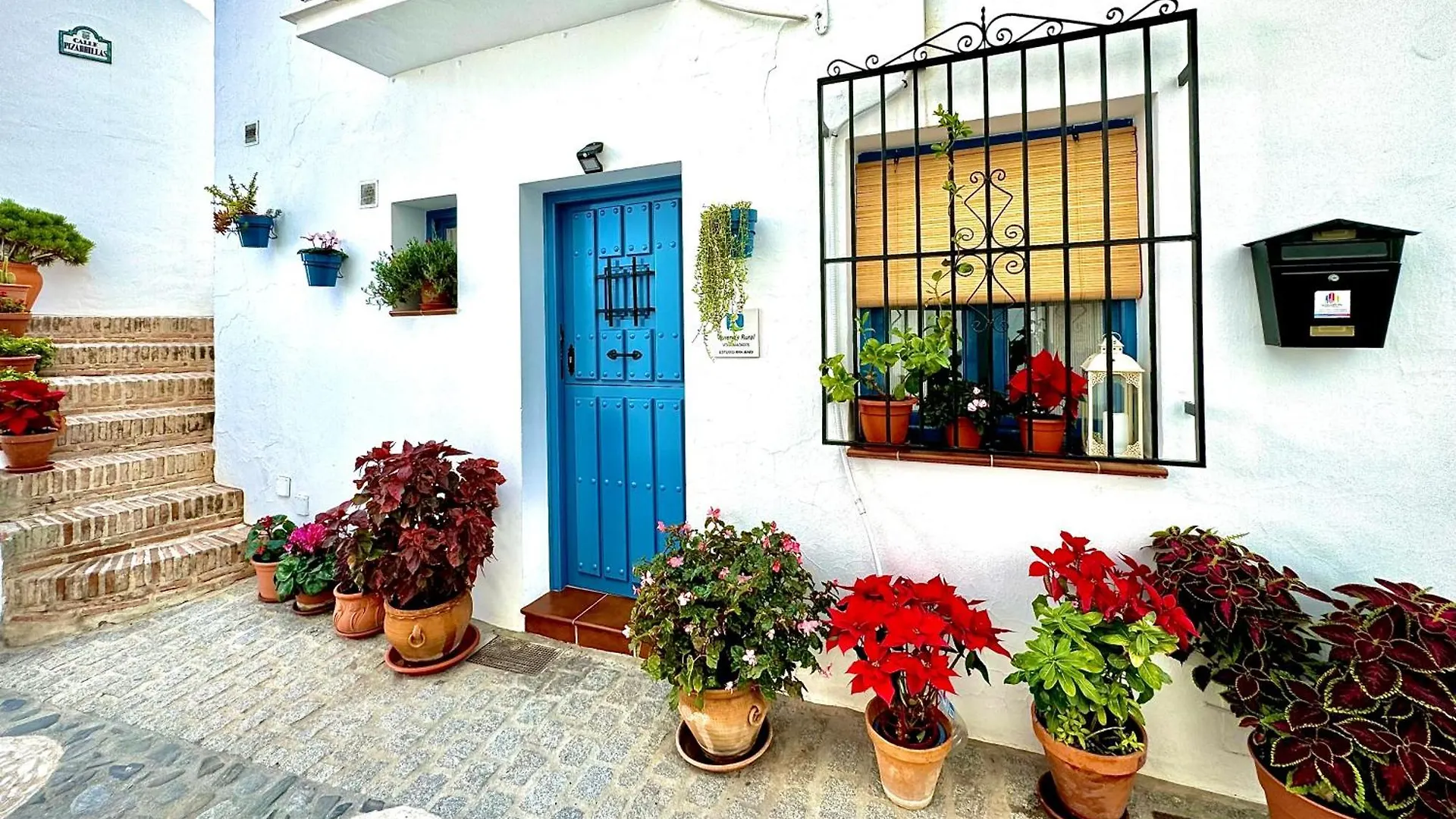 Ana Mari'S Studio In فريجيليانا